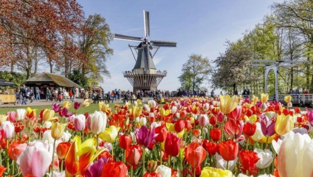 Huis De Roos De Kwakel Exteriör bild